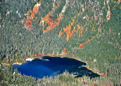 Alpine lake with fall foliage 463  