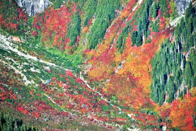 Fall foliage and colors at base of Whitehorse Mountain 329  