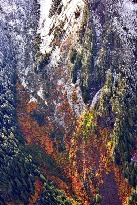 Fresh Snow on Cascade Mountains 821