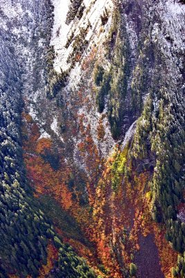 Fresh Snow on Cascade Mountains 821 