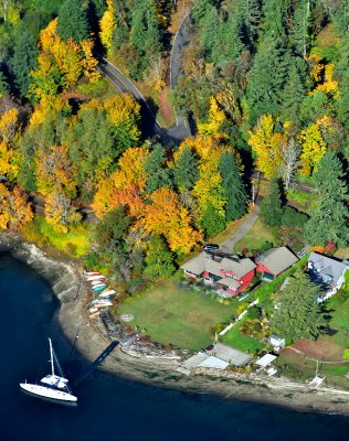 Fall colors on Bainbridge Island Washington 205 