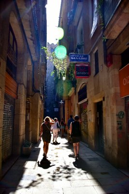Gothic Quarter narrow street in Barcelona 137  