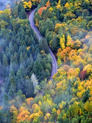 NE Tolt Hill Rd in the fall by Carnation Washington 218 