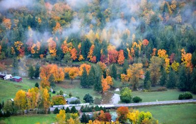 Fall Foliage in Snoqualmie River Valley by Fall City Washington 394  
