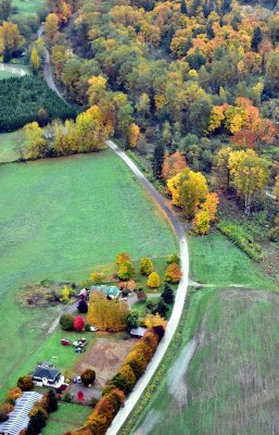 Fall Foliage in Snoqualmie River Valley 387  