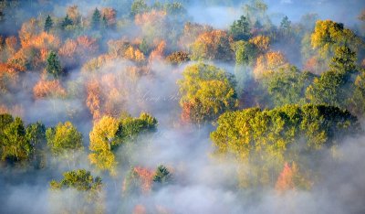 Colorful fall foliage in Western Washington 474 