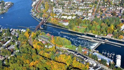 Ballard Lock and Ship Canal in autumn Seattle 302 