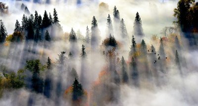 Autumn along Snqoualmie River Valley 530  