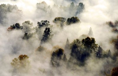 fall in Snoqualmie Valley