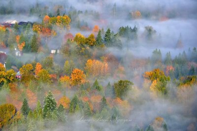 Autumn over Pacific Northwest 334  