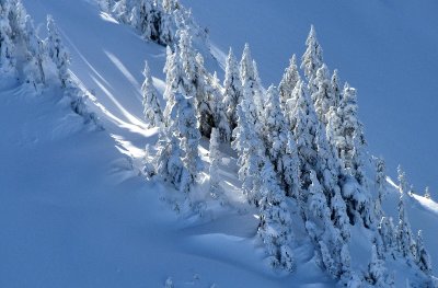 Winter Wonderland in Cascade Mountains 988  