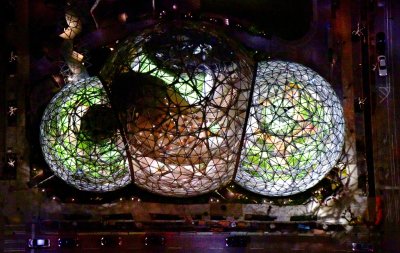 Amazon Biospheres in Seattle Washington 072b  