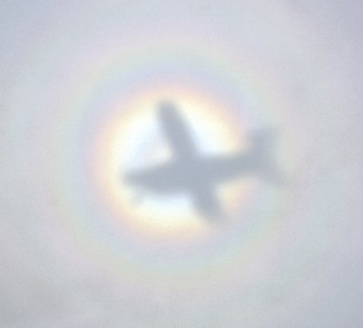 Kodiak in circular rainbow over Florida 460  