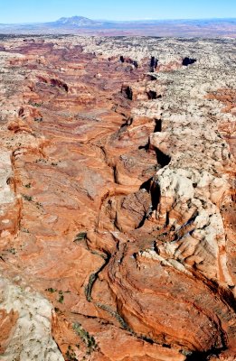 Stevens Canyon in Glen Canyon National Recreation Area Torrey Utah 566 