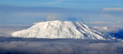 Mt St Helens National Volcanic Monument and Mt Rainier NP Washington 298  