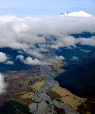 Mt St Helens National Volcanic Monument and North Fork Toutle River, Washington 312