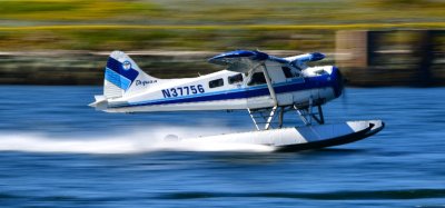 Taquan Air Beaver N37756  departs Ketchikan Seaplane Base 197 