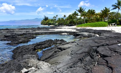 Lava Field and Beach at Puako, Hawaii 088 