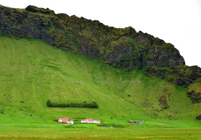  Hvammur or farm at base of Hvammsnupur Mtn, Iceland 260