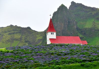 Vikurkikja in village of Vik, Iceland 399 