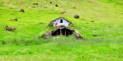 Icelandic Barn 497 