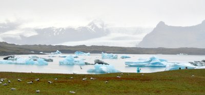Icebergs in  Jökulsárlón glacial lagoon and Breiomerkurjokull glacier, Iceland 1144                        