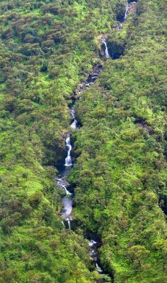 12 Waterfalls of Hanawi Stream, Maui, Hawaii 171  