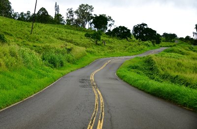 Kula Highway to Ulupalakua Ranch, Kula, Maui 320 