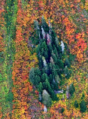 Vivid colors of autumn in Cascade Mountain, Washington 393 