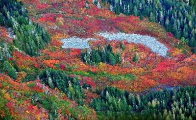 Fall foliages around Mt Lennox, Washington 132 
