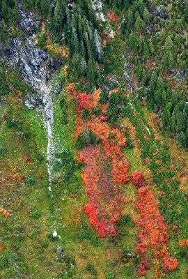 Bright colors in Salmon Creek Valley, Cascade Mountains, Washington 143 