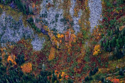 Autumn colors in Salmon Creek Valley, Washington 157 