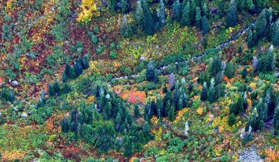 Autumn colors in Salmon Creek Valley, Washington 159 
