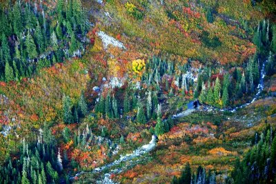 Autumn in Salmon Creek Valley, Cascade Mountains, Washington 183 