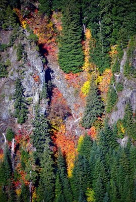 Fall in Cascades 589 