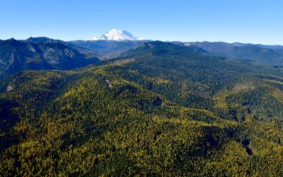 Fall foliages in Eastern Washington and Mount Rainier, Washington 329 