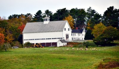 Large farm along Harpswell road, Maine 099 