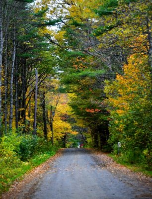 Looking down Barnes Point Road, Harpswell, Maine 141