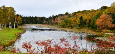 Wilson's Pond on Orr's Island, Maine 247