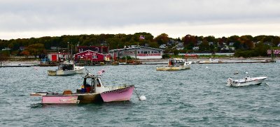 Dithy-Doo in Garrison Cove, Bailey Island, Maine 341 