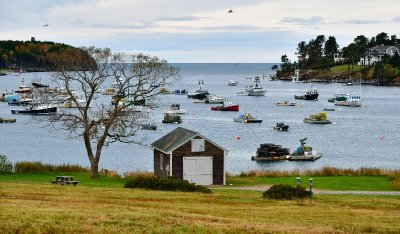 Johnson Field Preserve at Mackerel Cove, Bailey Island, Maine 456 