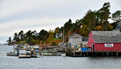 Glen's Lobsters at Macherel Cove, Bailey Island, Maine 479 