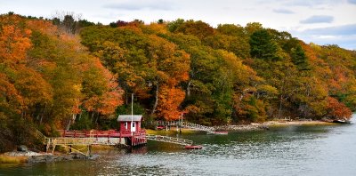 Autumn along Ewin Narrows, Harpswell, Maine 790 