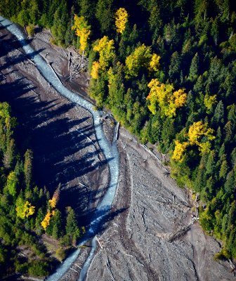 White River with fall foliage, Mount Rainier National Park, Washington 1045 