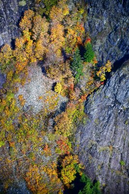 Fall in Cascades 533