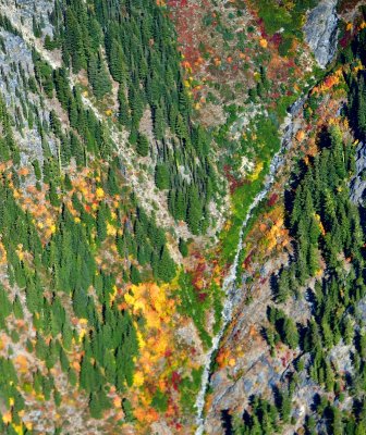 Autumn on Snowgrass Mountain, Cascade Mountains, Washington 534 