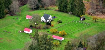 Beautiful farm along the Snoqualmie River Valley, Carnation Washington 083 