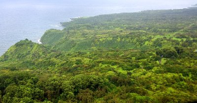 Lust landscape on Hana Highway, Maui, Hawaii 160a 