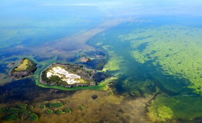 Upper Arsnicker Keys, Everglades National Park, Florida 263 