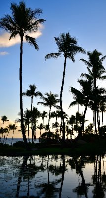 Sunset in Maui, Hawaii 211 